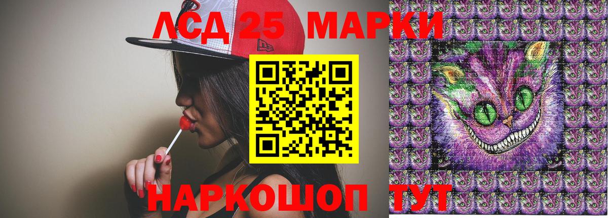 Губкин  Марки N-bome 1,8мг  Вход с VPN 