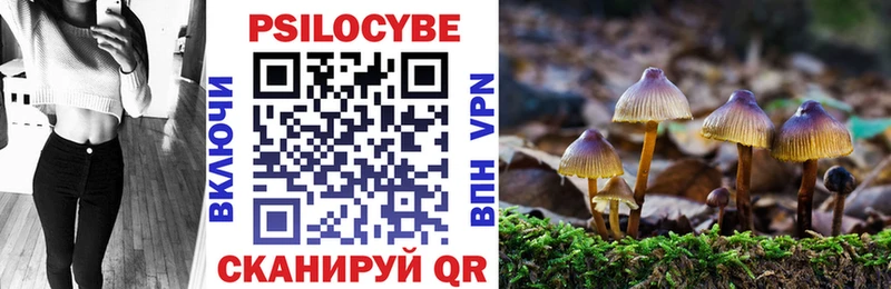 цены   Губкин  Псилоцибиновые грибы Magic Shrooms 