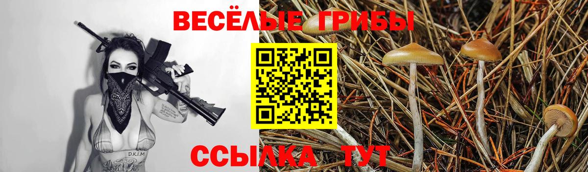 Псилоцибиновые грибы мицелий  Галлюциногенные грибы GOLDEN TEACHER  Губкин 